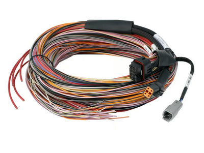 Haltech Nexus PD16 + Flying Lead Harness (5M)