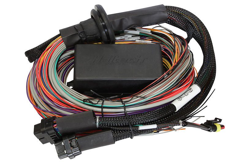 Haltech Elite 2000 8ft Premium Universal Wire-In Harness